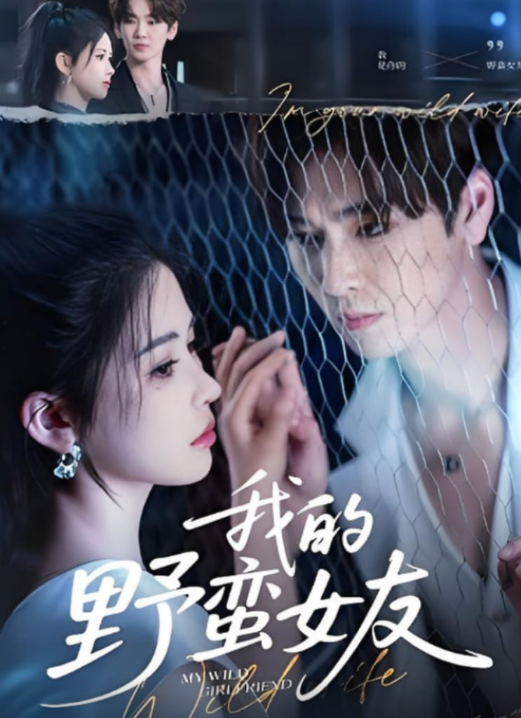 我的野蛮女友