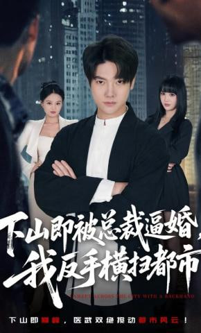 下山即被总裁逼婚，我反手横扫都市